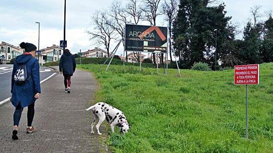 Parcela en Perillo, entre Canaveira y la avenida Segunda República, donde se prevé la urbanización de trece chalés.