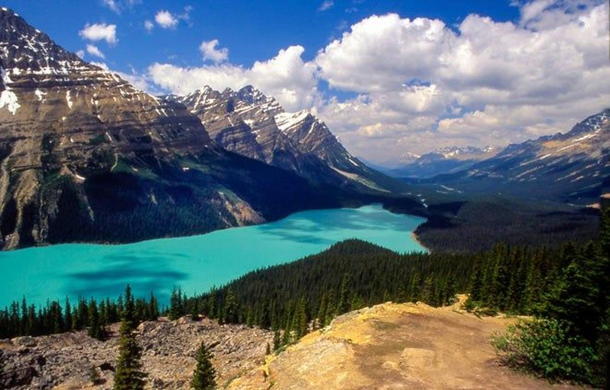 Lago Peyto