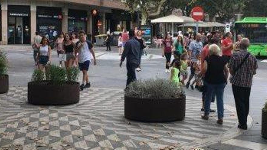 Les jardineres repartides a l&#039;andana central del Passeig per Crist Rei