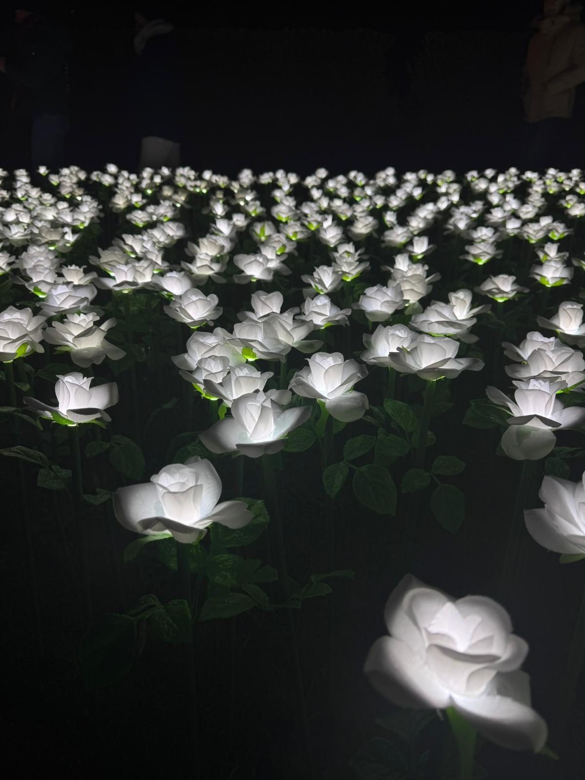 Las rosas del Jardín Infinito podían dedicarse a una persona especial
