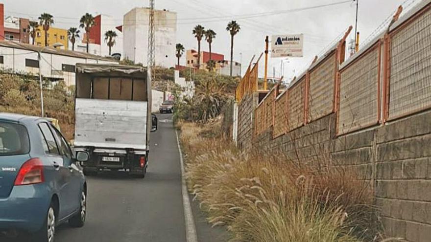 El rabo de gato toma la Cruz de La Gallega