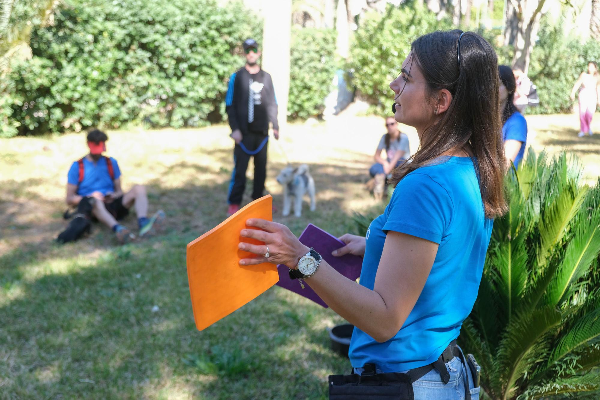 Fiesta de las mascotas en Elche