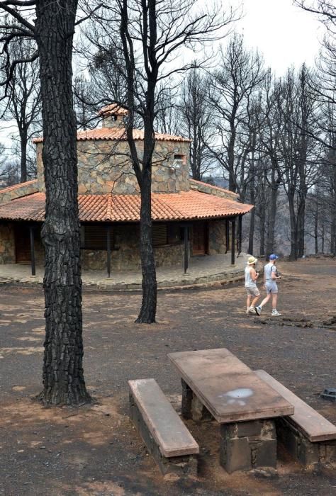 INCENDIO CUMBRE GRAN CANARIA