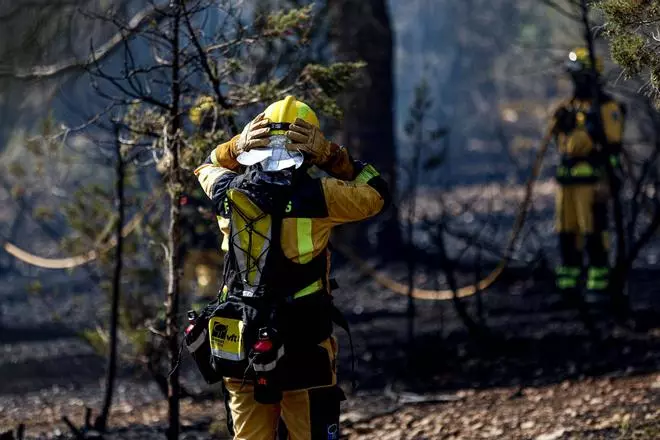 Alarma por un incendio en sa Talaia de Sant Antoni