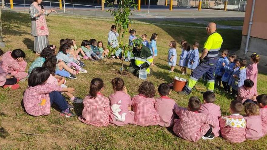 Escolinos d’Infantil del colexu de Los Campos na plantación d’un llimoneru. | Mara Villamuza