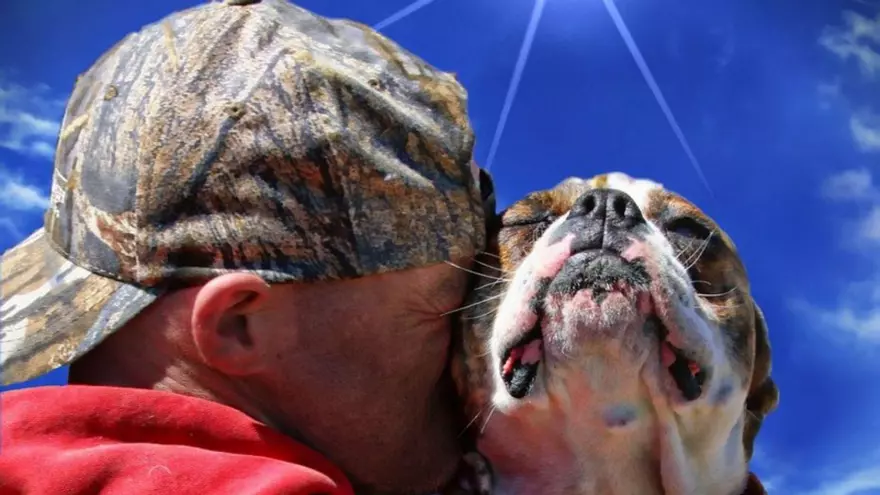 La verdad sobre Leo, Fido y una enfermedad