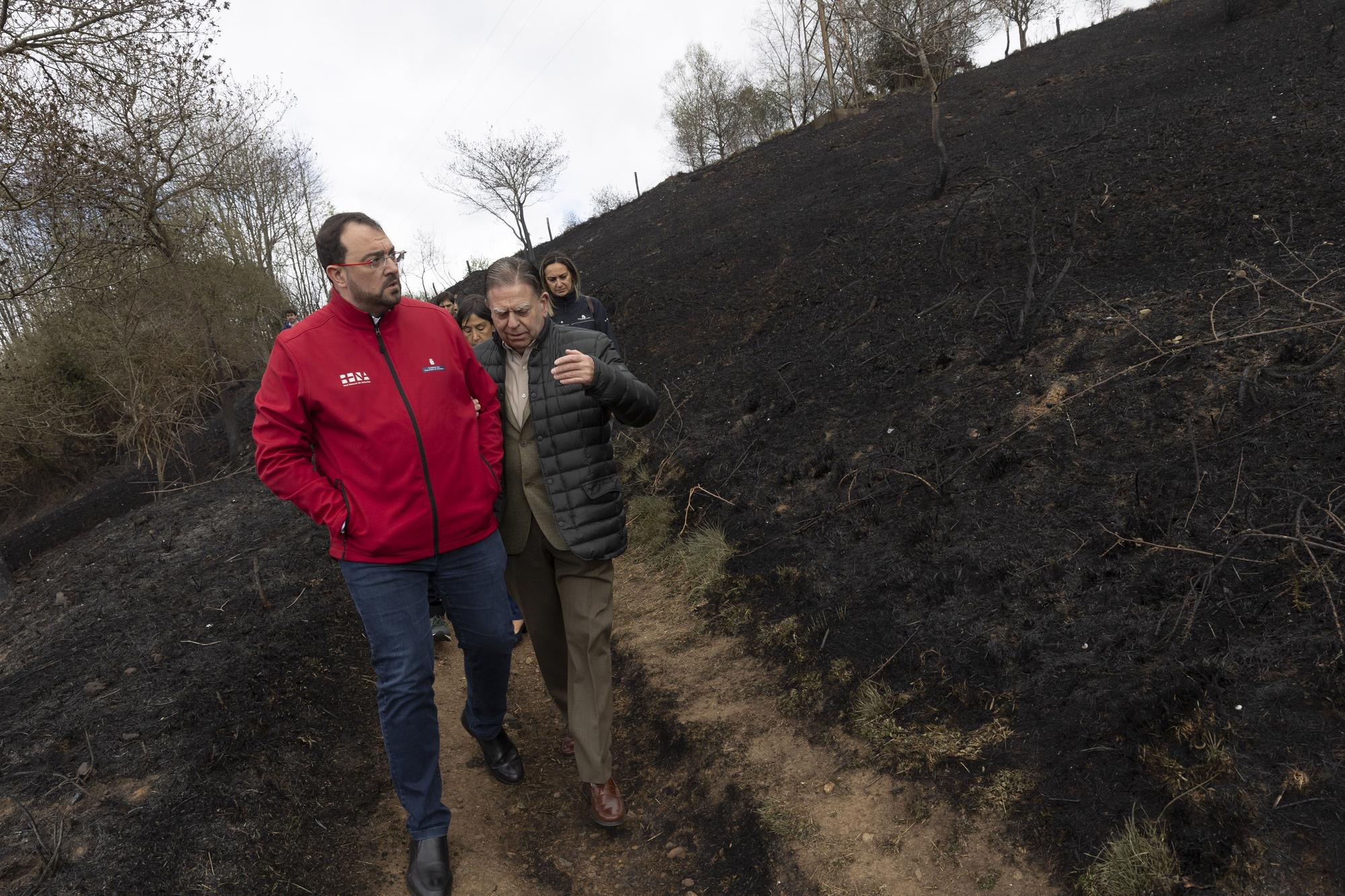 El aspecto del Naranco tras unos incendios históricos