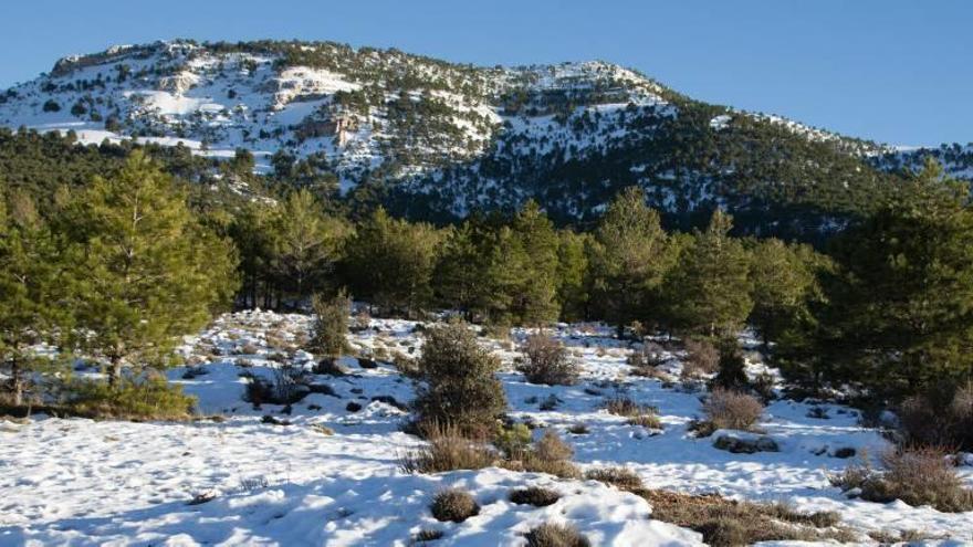 Foto reciente del pico nevado