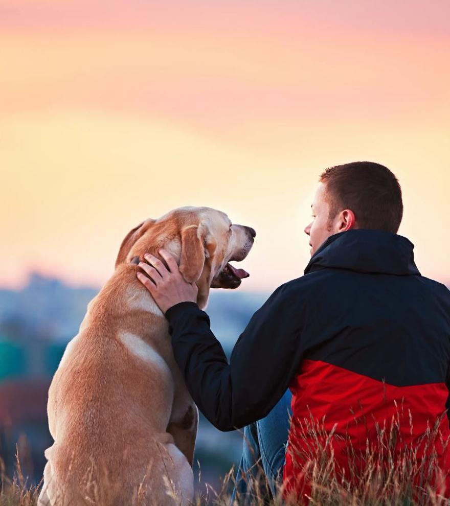 La Policía lanza una seria advertencia a todos los dueños de perros: &quot;Hasta que no aprenda&quot;