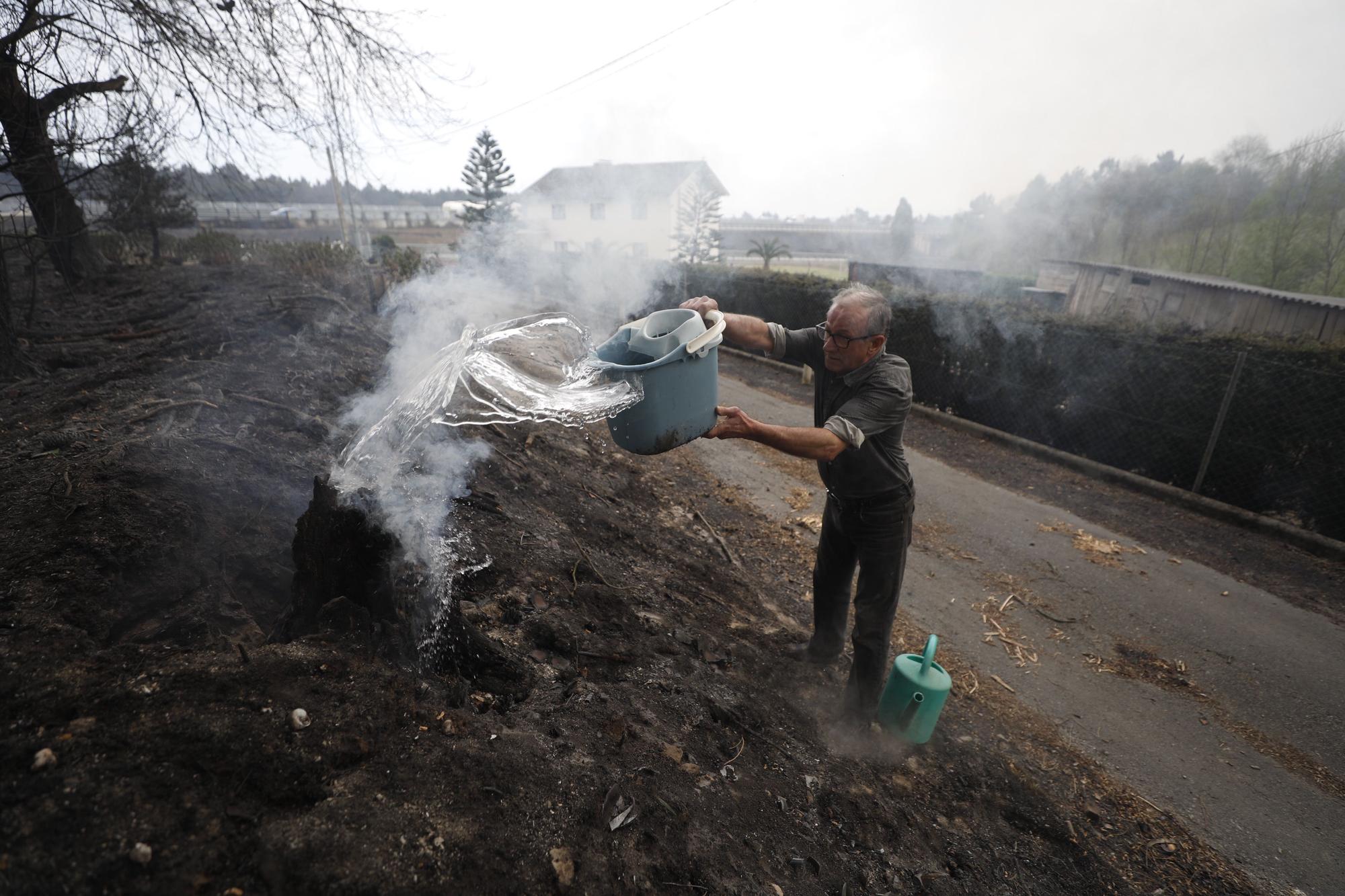 EN IMÁGENES: Gran oleada de incendios en Asturias