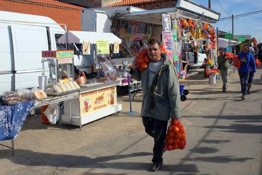 Feria del burro en San Vitero y romería