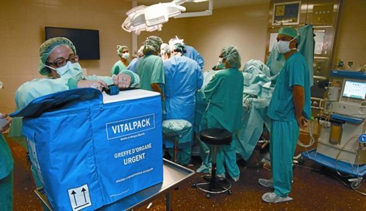 Un equip mèdic porta a terme un trasplantament a l’Hospital Clínic de Barcelona.