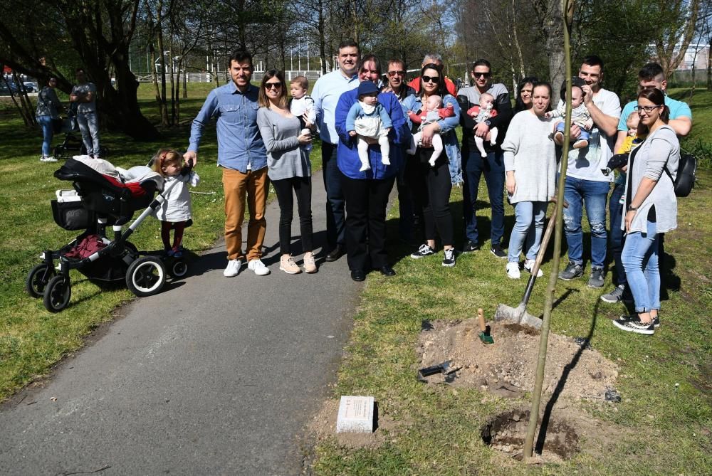 Día del árbol en Arteixo