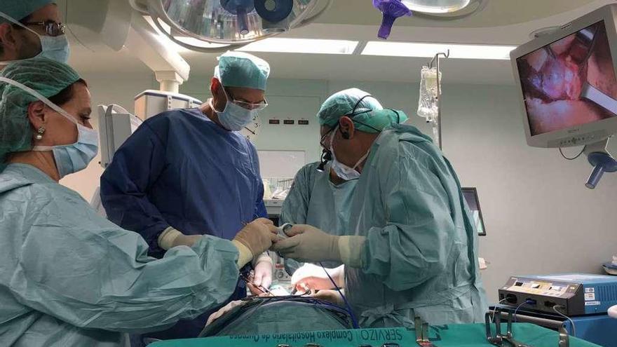 Intervención quirúrgica en el Complexo Hospitalario Universitario de Ourense, CHUO. // Jesús Regal