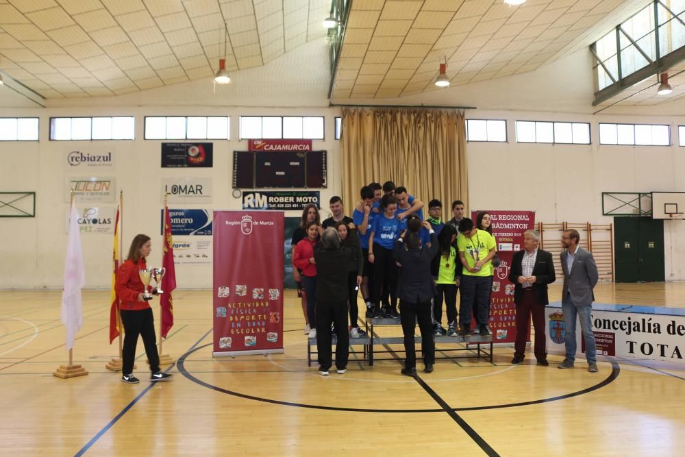 Final Regional de bádminton de Deporte Escolar