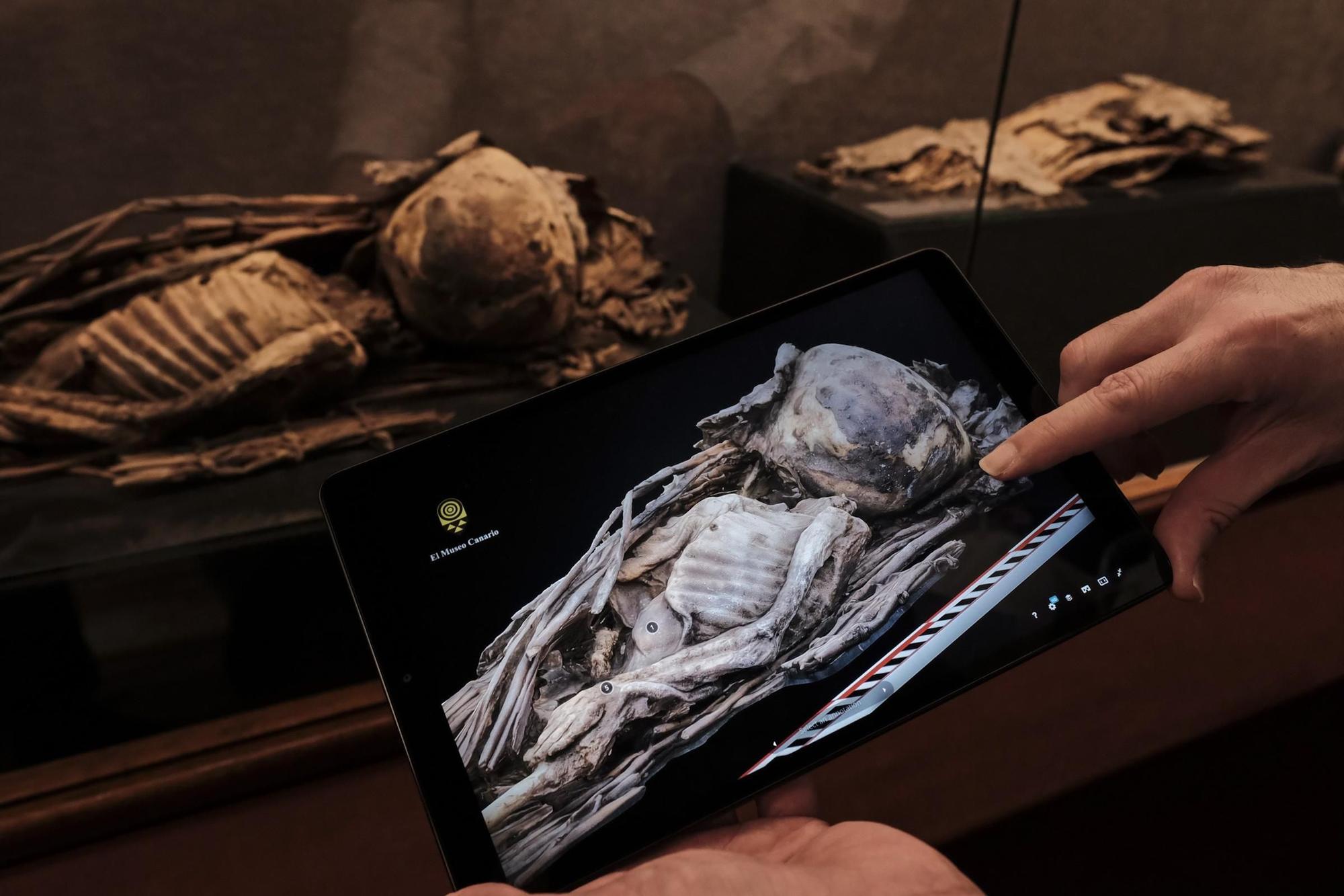 El Museo Canario en 3D