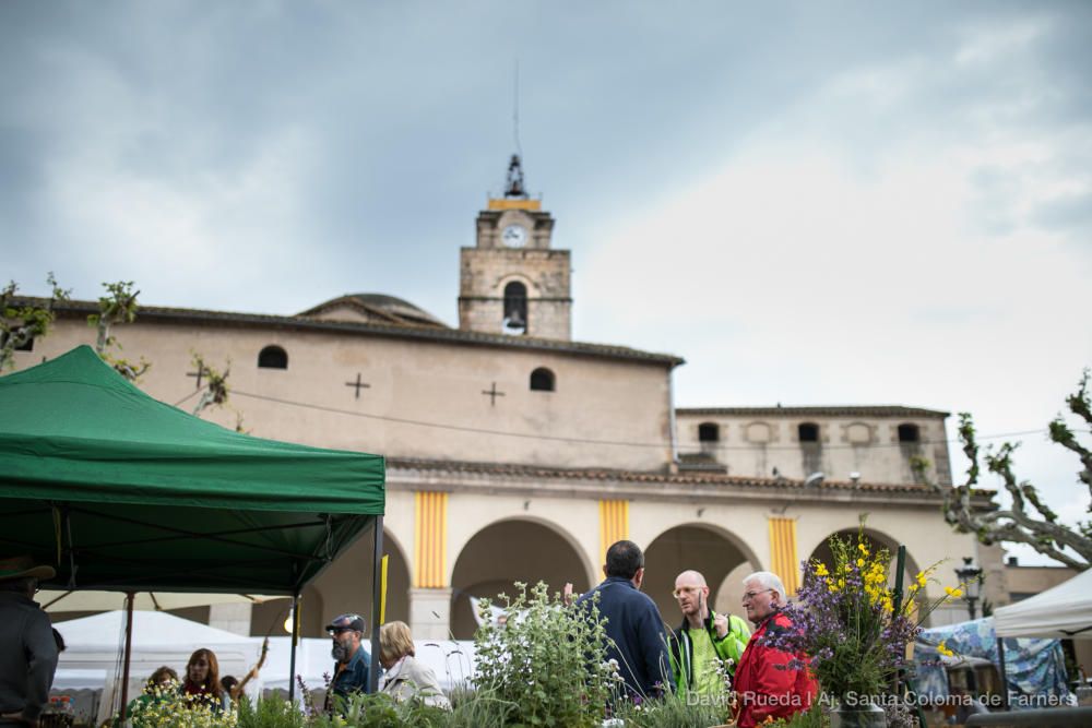 Mercat de les Herbes de la Ratafia a Santa Coloma de Farners | Dissabte 5 de maig de 2018