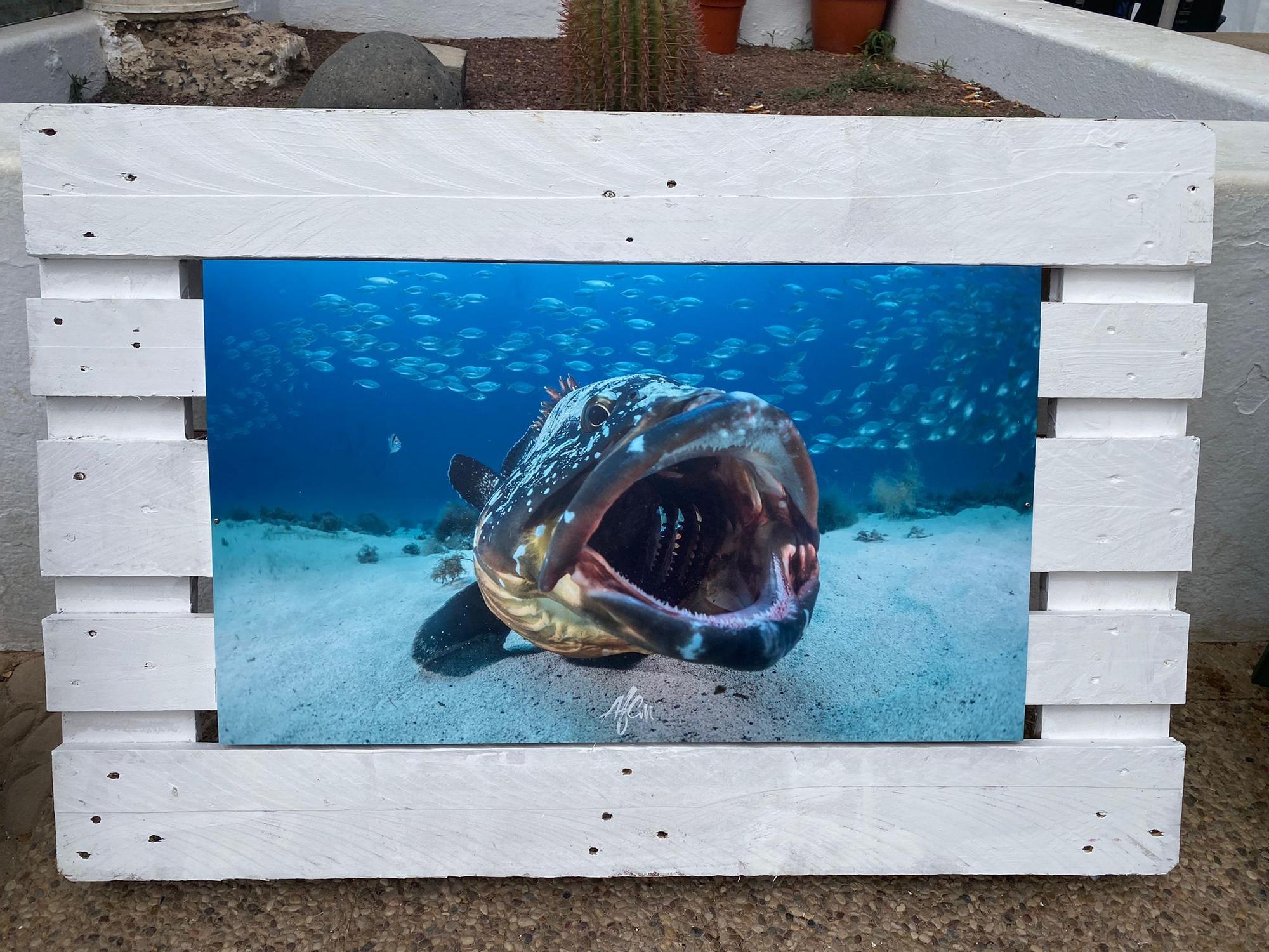 Exposición La Graciosa bajo el mar