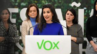 Vox prepara su nueva ofensiva contra la ley de violencia de género