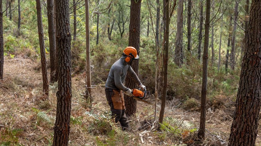 Así defienden sus montes cientos de familias comuneras de Rianxo