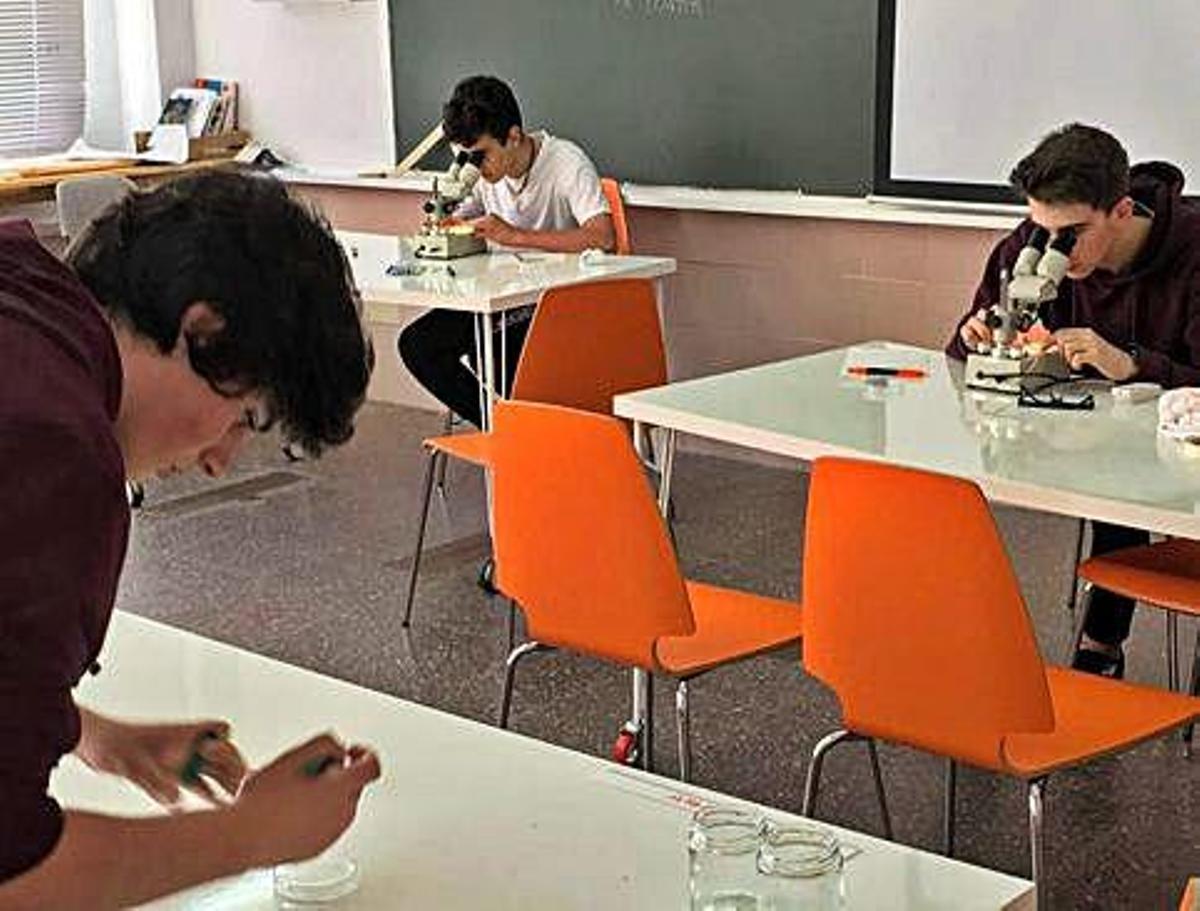 Los alumnos durante los análisis de los microplásticos en el laboratorio.