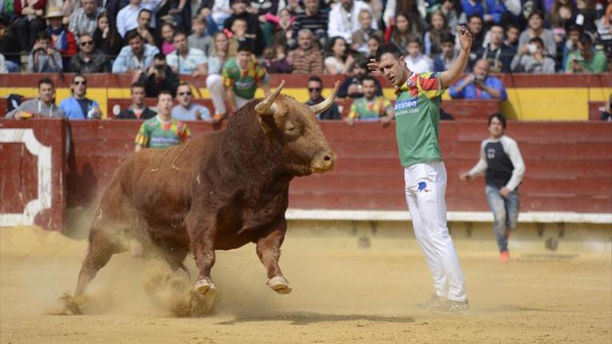 Castellón ofrecerá cuatro espectáculos de recortes