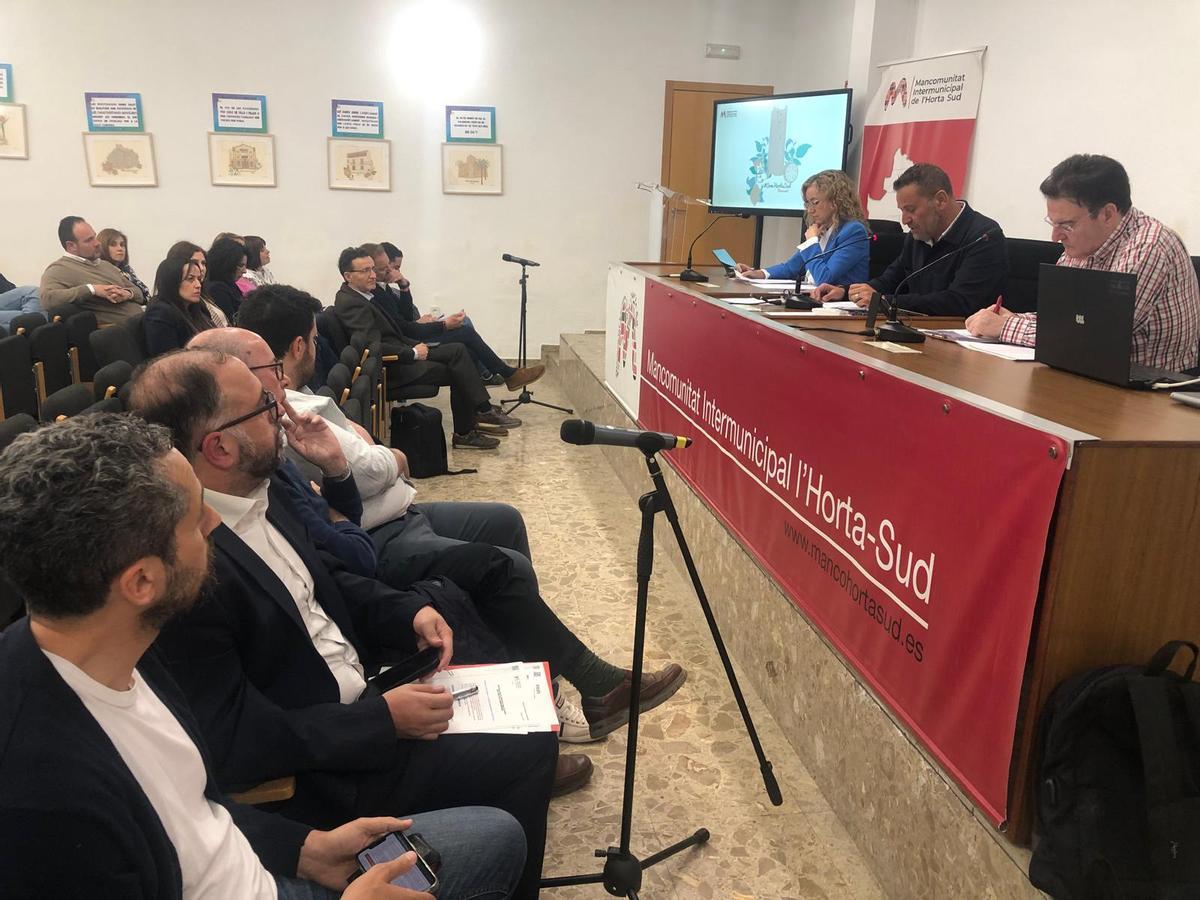 Alcaldes y concejales en el pleno de la Mancomunitat Horta Sud.