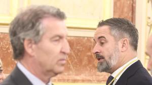 El presidente de Vox, Santiago Abascal (d), y el presidente del PP, Alberto Núñez Feijóo (i), durante la visita del Papa León XIV al Congreso de los Diputados, a 8 de junio de 2026, en Madrid (España). León XIV es el primer papa que pronuncia un discurso
