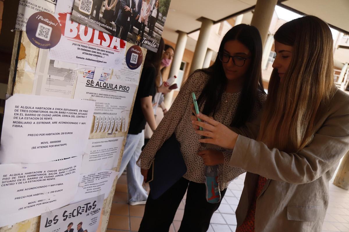Varias alumnas consultan anuncios de alquiler de pisos en la Facultad de Derecho de la UCO.