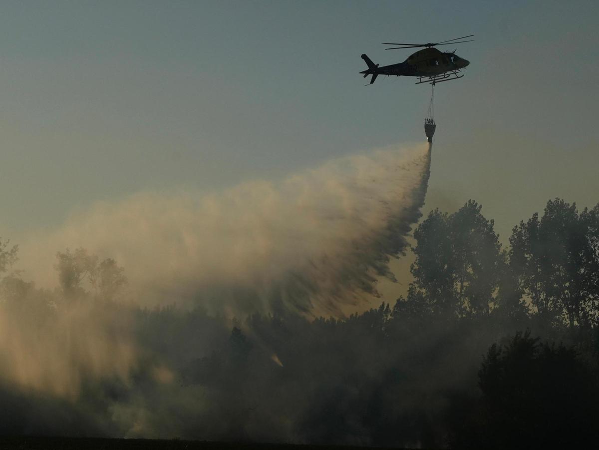 GALERÍA | Incendio en el "Plantío viejo" de Villaralbo