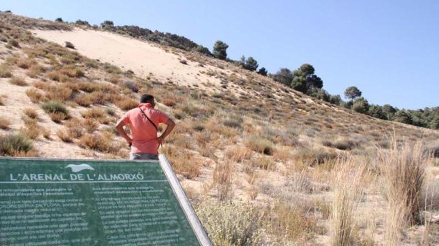 La superficie del Arenal de l&#039;Almorxó se ha reducido de forma considerable en poco tiempo.