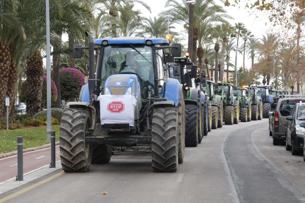 Tractorada sorpresa de los agricultores de Mallorca contra el Govern Armengol