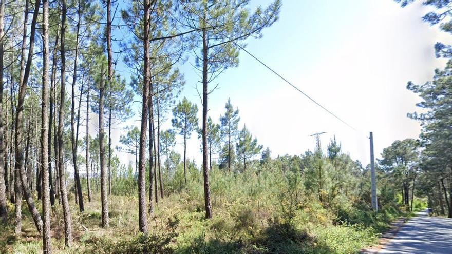 La Asociación Española Contra el Cáncer saca a subasta una finca de 1.390 metros cuadrados en O Grove por 770 euros