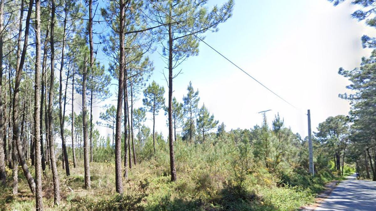 El terreno que se subasta en O Grove.