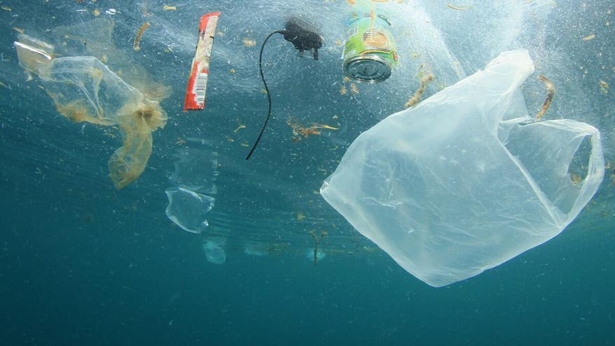 Día Mundial de los Océanos: ocho millones de toneladas de plástico al mar cada año