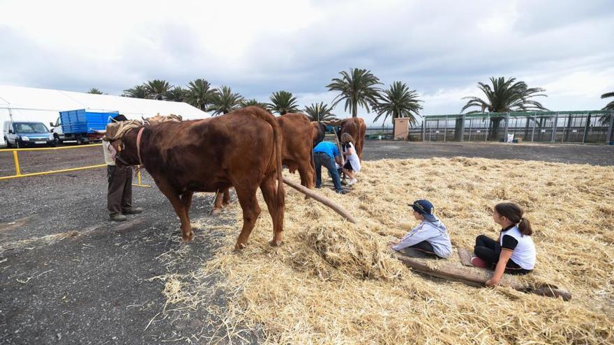 Recreo en La Granja