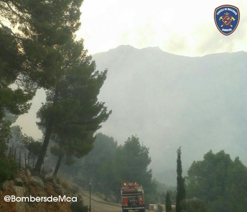 Incendio forestal de nivel 1 en la Mola de Tuent