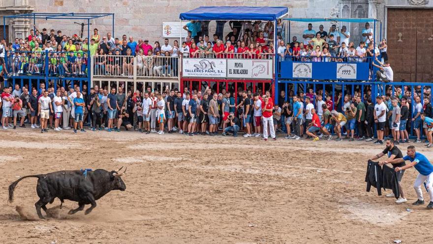 Burriana baja casi a la mitad las quejas en las fiestas de la Misericòrdia