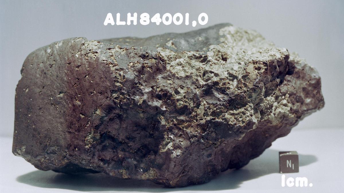 Fotografía del meteorito marciano ALH84001 hallado en la Antártida.