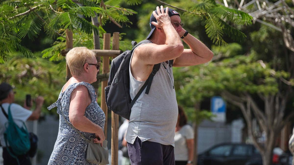 Jornada de calor en Tenerife