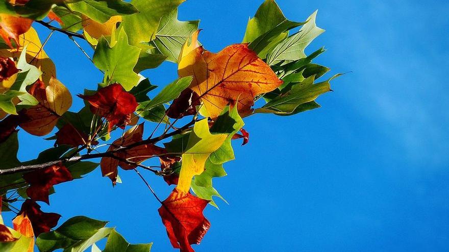 Llega el otoño. // Pixabay