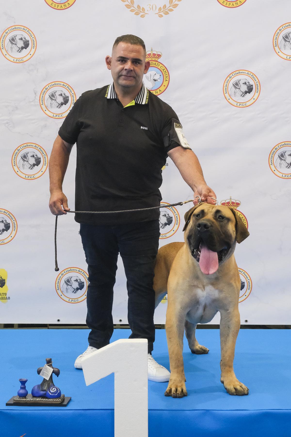 Jonás Salazar gana con su perro Kan de Teneguía el primer puesto en la categoría joven.