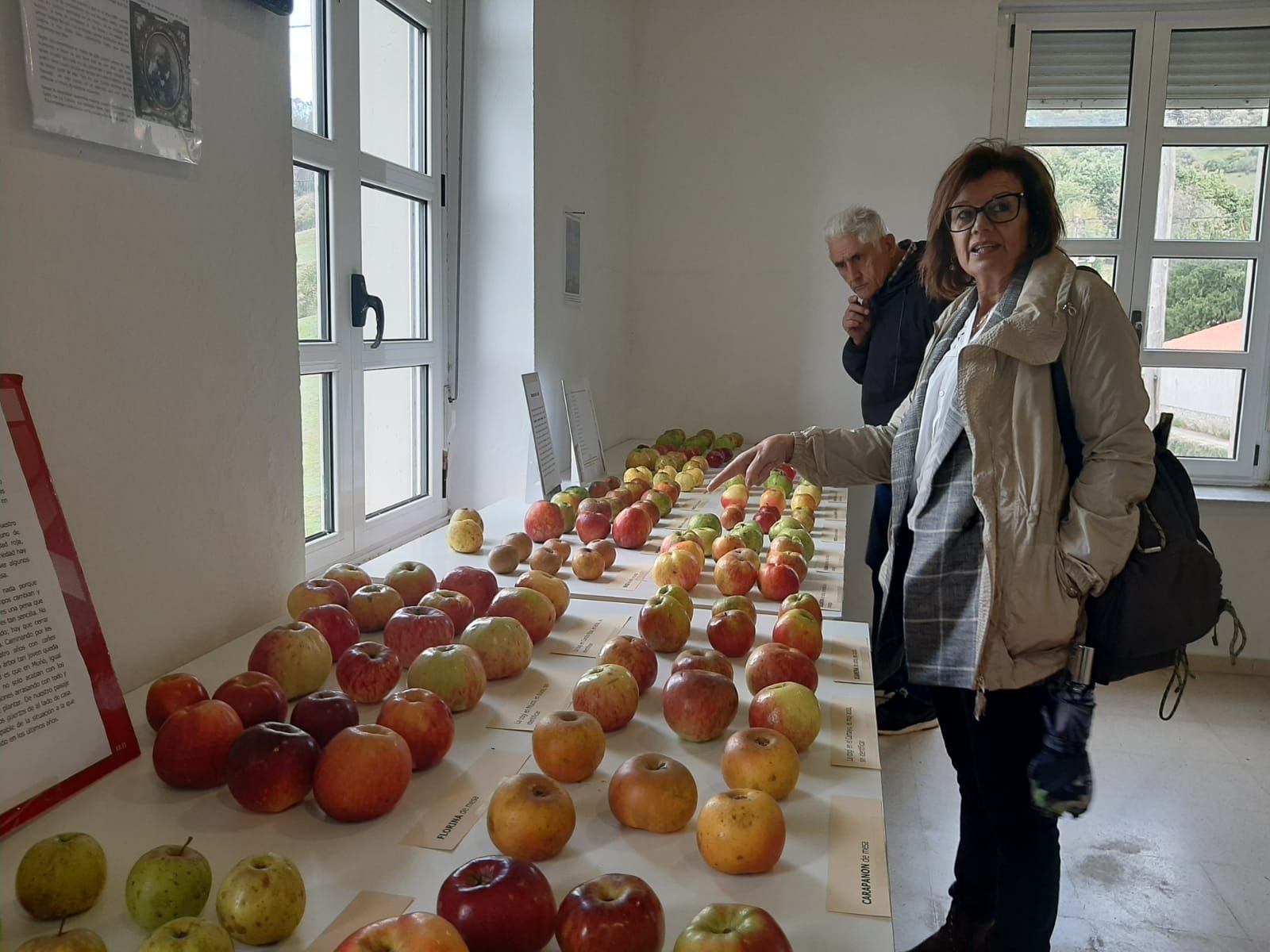 Muñó, capital de la manzana de Siero: así ha sido la exposición de variedades organizada por los vecinos