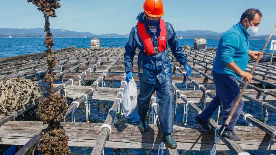 Una de las plataformas de mejillón en la ría de Arousa.