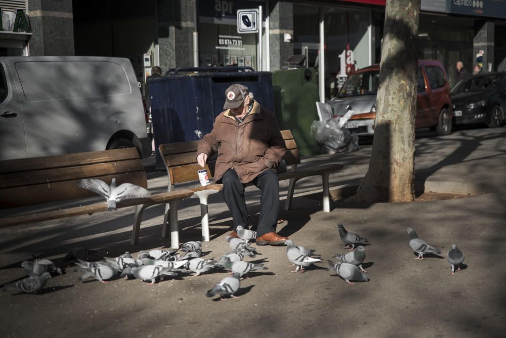 Un home alimentant coloms al passeig Pere III