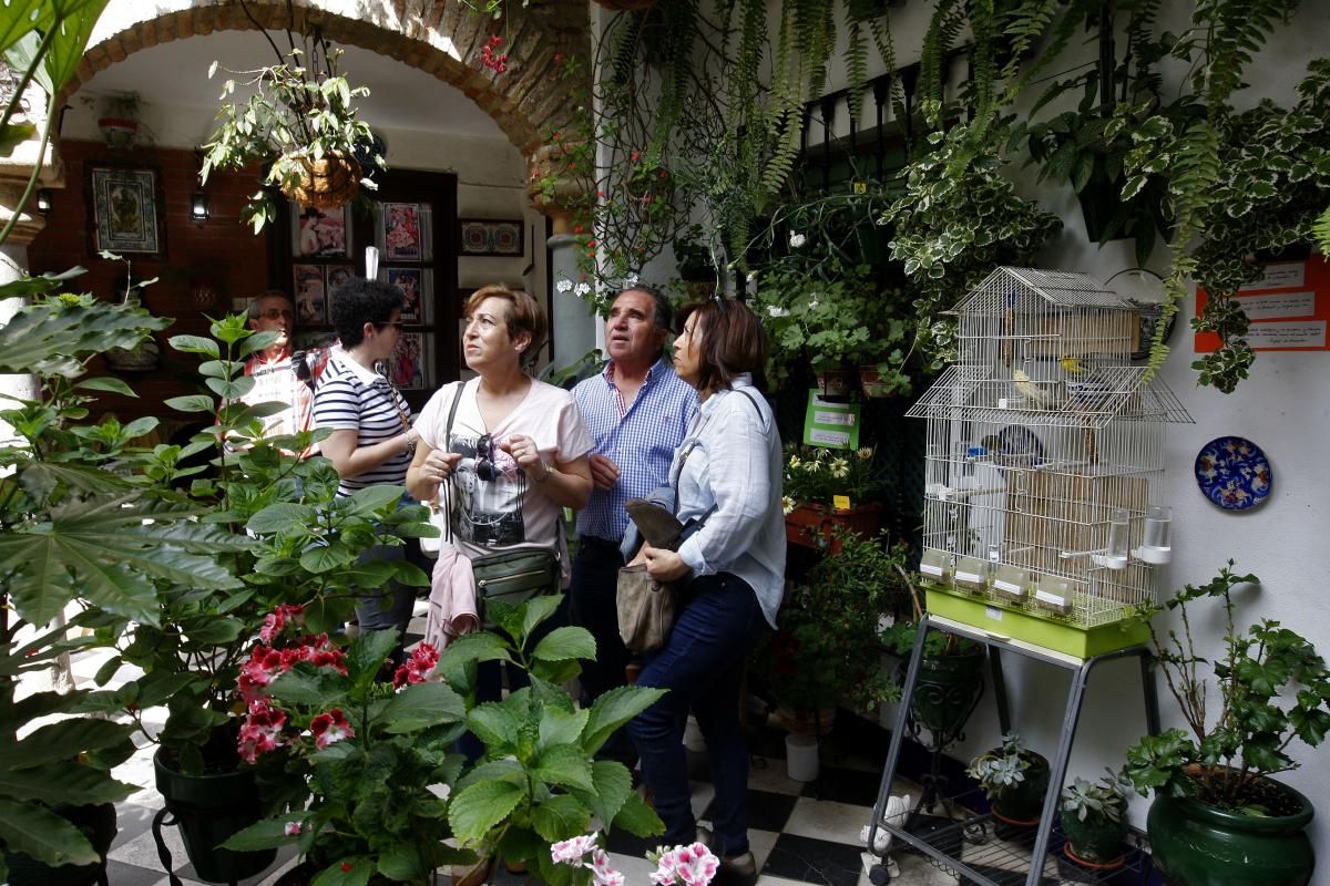 Apurando la fiesta de los patios por la Judería