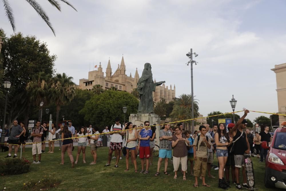 Stadtbus brennt vor der Kathedrale von Palma ab