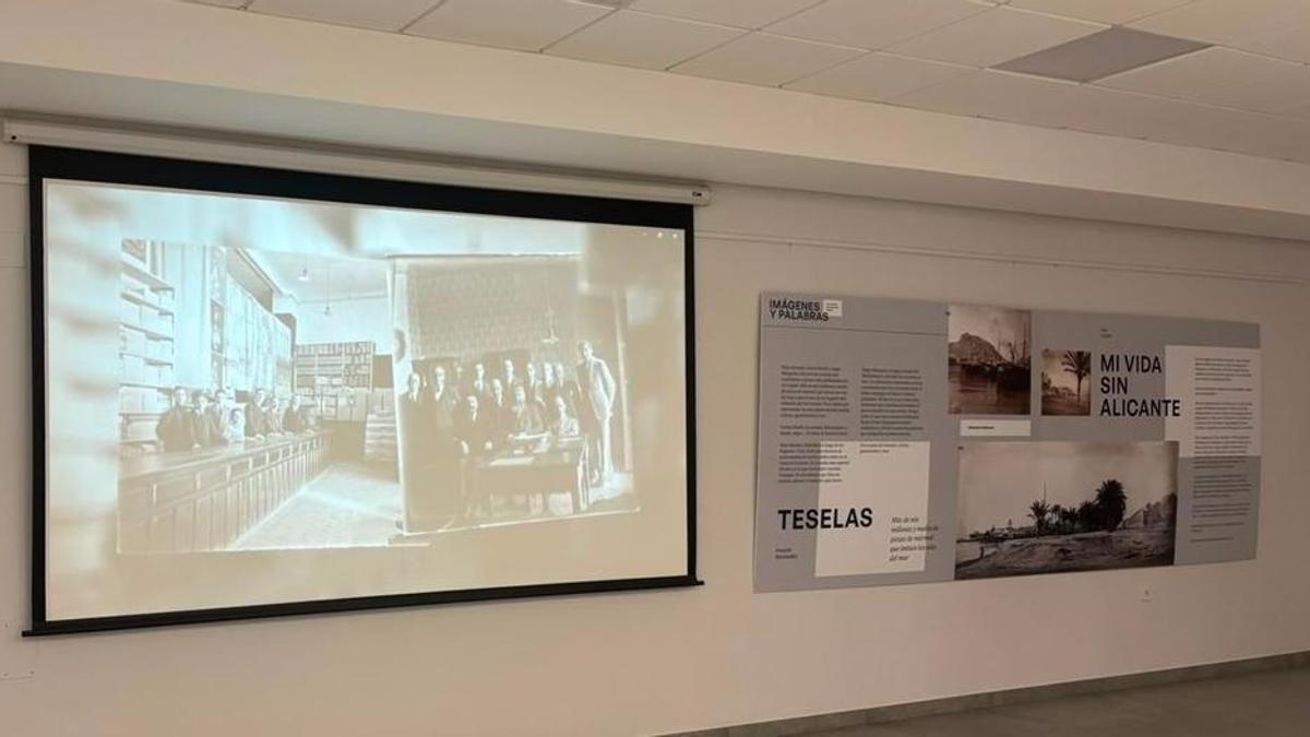 Imágenes y audiovisual de la exposición en el Colegio de Médicos de Alicante