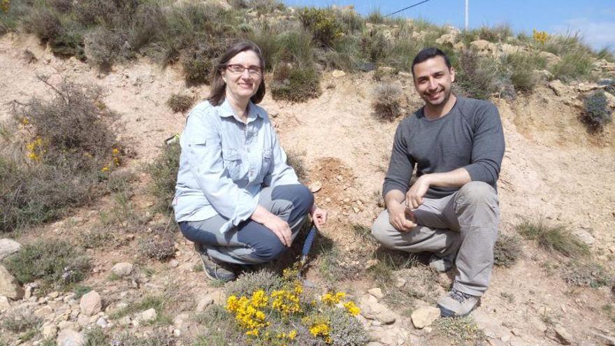 Teruel vivió un cambio climático de efectos inesperados hace 7 millones de años