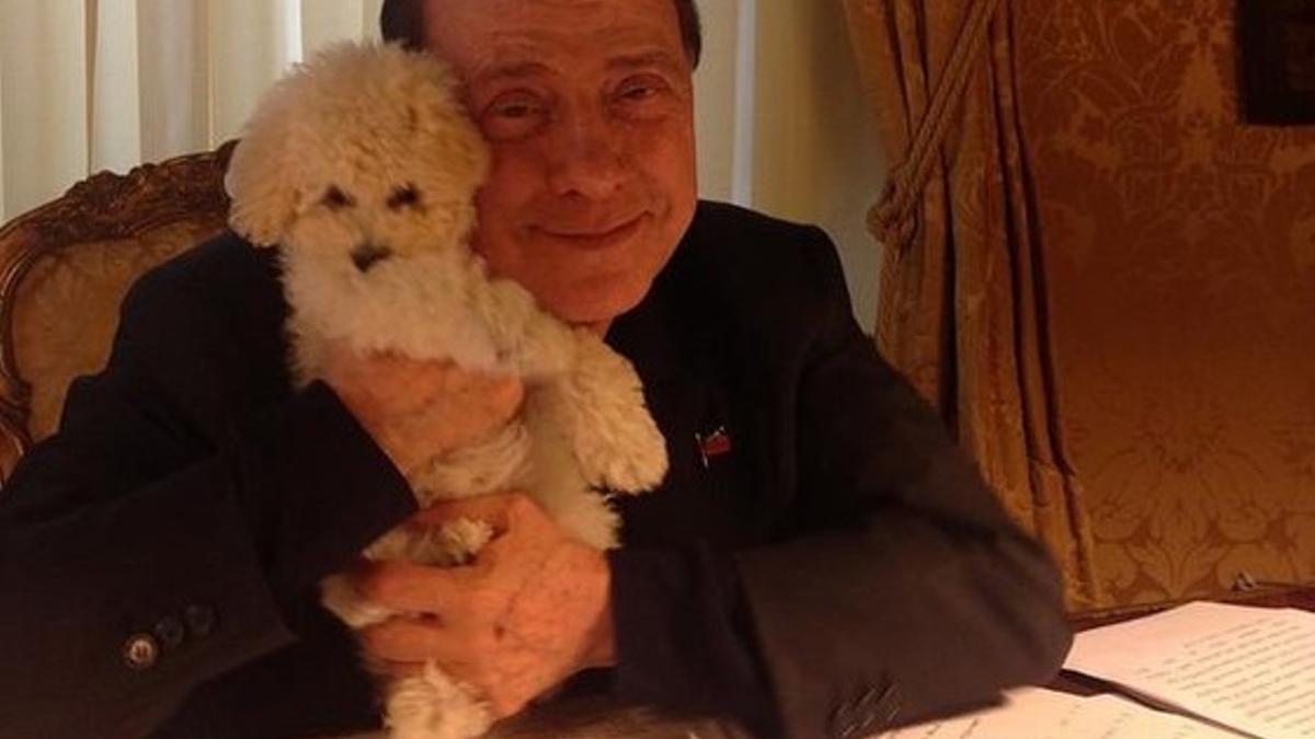 Silvio Berlusconi, de 78 años, posa con su perro en su cuenta de Instagram.